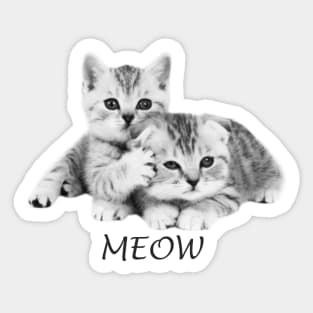 Cute Meows Line art Sticker